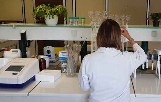 aliment &eacute;quins, aliment d&rsquo;allaitement Doullens dans la Somme (80) 