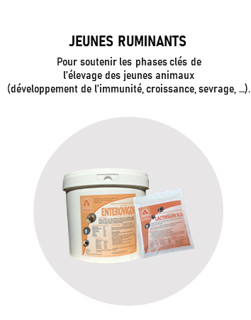 Alliance Nutrition Animale