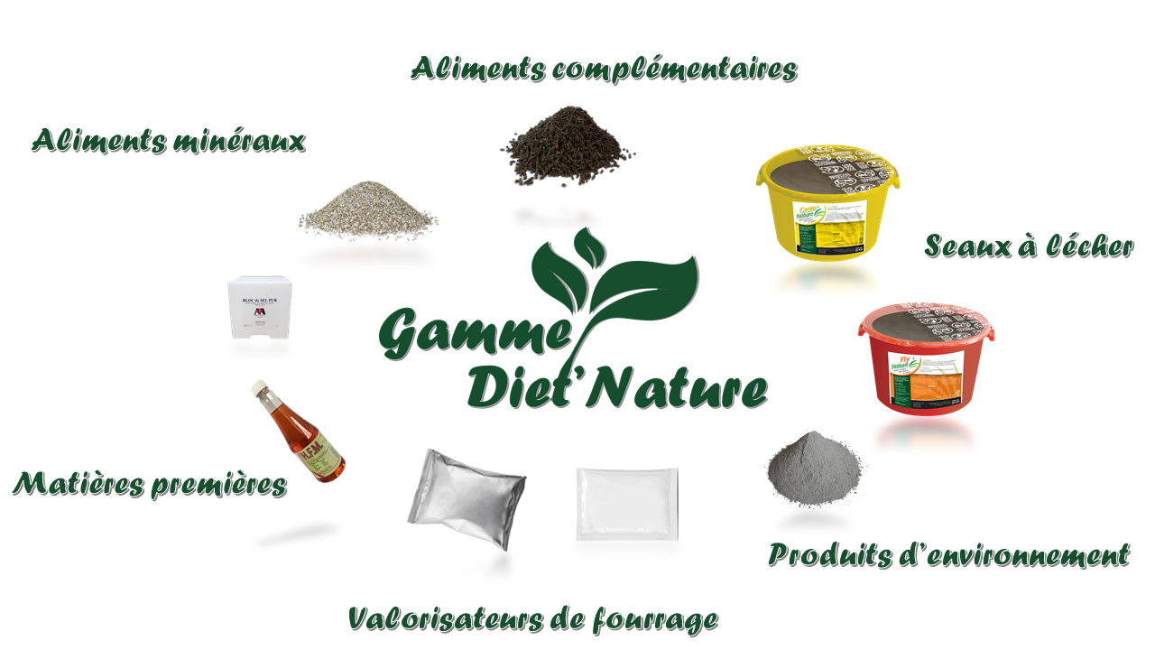 aliment min&eacute;ral 80